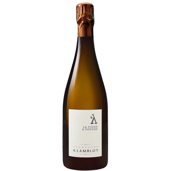 2019 A. Lamblot, Vigne a Vovonne